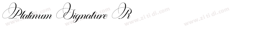 Platinum Signature R字体转换
